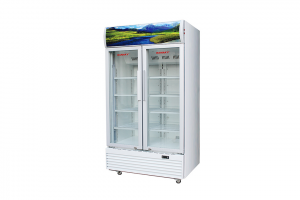 Tủ mát Sanaky Inverter VH-1209HP3