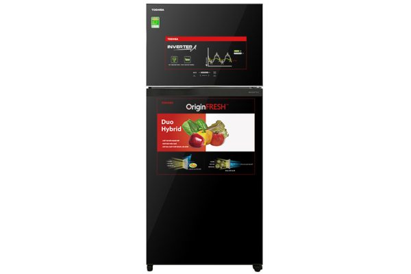 Tủ lạnh Toshiba Inverter 359 lít GR-AG41VPDZ XK1